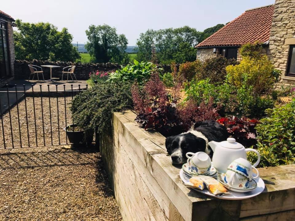 Valley View Farm Holiday Cottages Helmsley Exterior foto